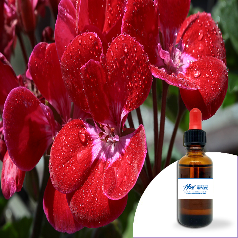 Huile essentielle Géranium 30ml