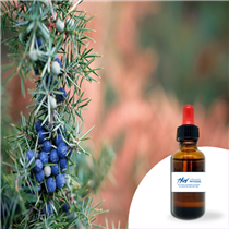 Baie de Genièvre 30ml