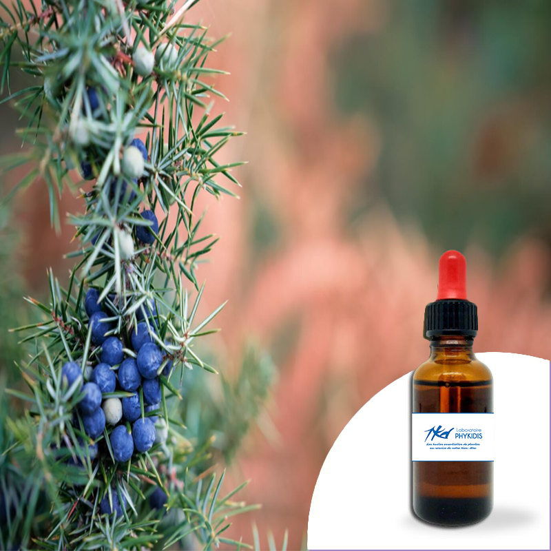 Baie de Genièvre 30ml