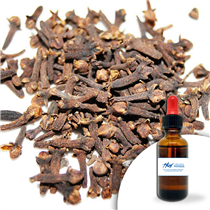 Huile essentielle Clous de girofle 30 ml