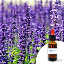Huile essentielle Lavande 30ml
