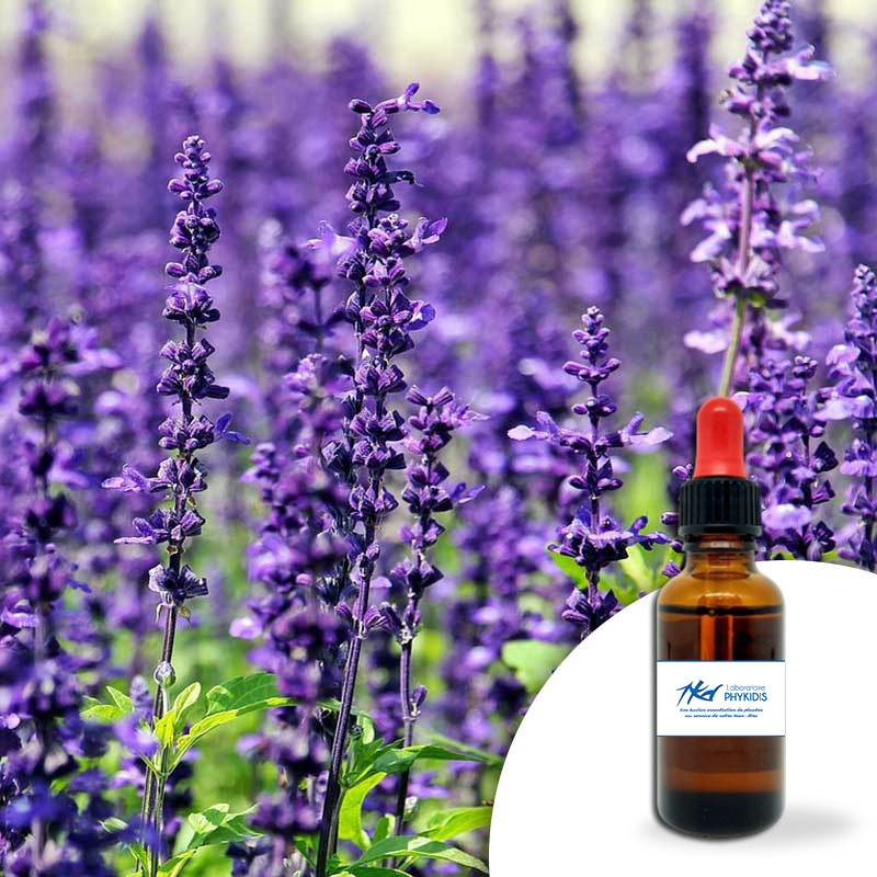 Huile essentielle Lavande 30ml