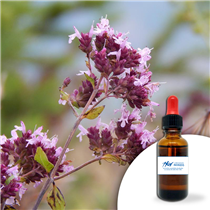 Huile essentielle Marjolaine 30ml