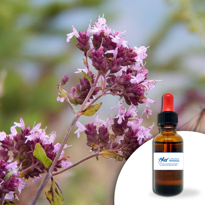 Huile essentielle Marjolaine 30ml