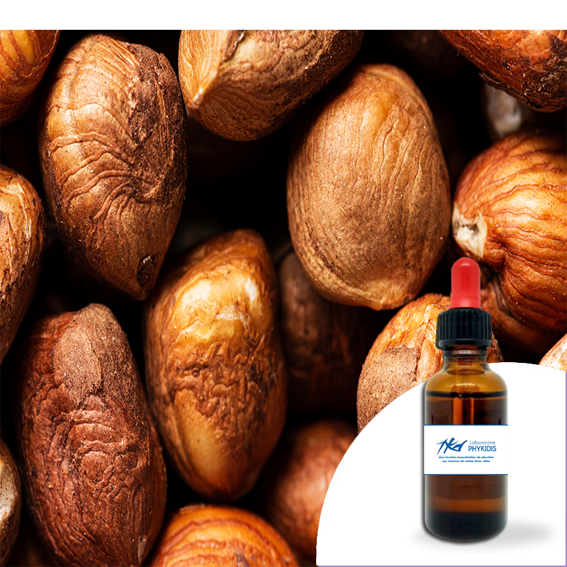 Huile essentielle Noix de muscade