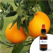 Huile essentielle Orange douce 30 ml
