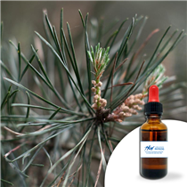 Huile essentielle Pin sylvestre 30 ml