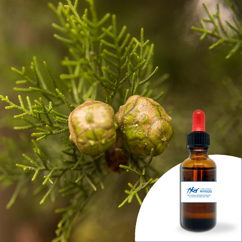 Huile esssentielle Cyprès 30ml