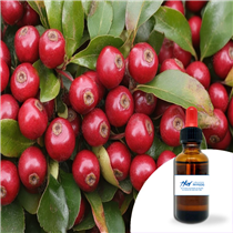 Huile essentielle Gaulthérie 30 ml