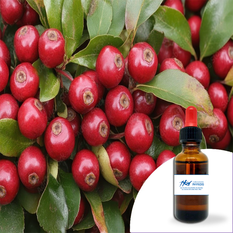 Huile essentielle Gaulthérie 30 ml