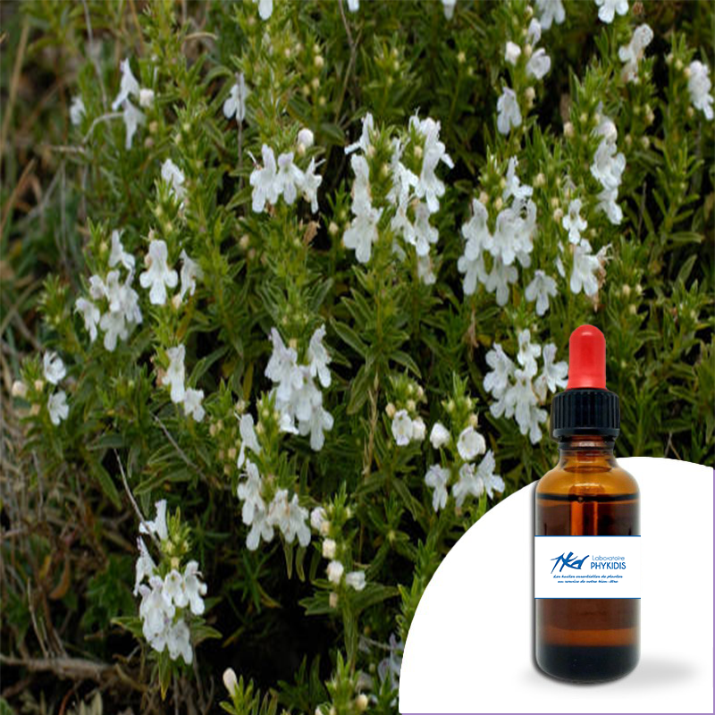 Huile essentielle Sarriette