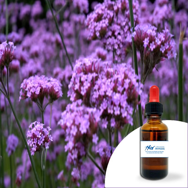 Huile essentielle Verveine